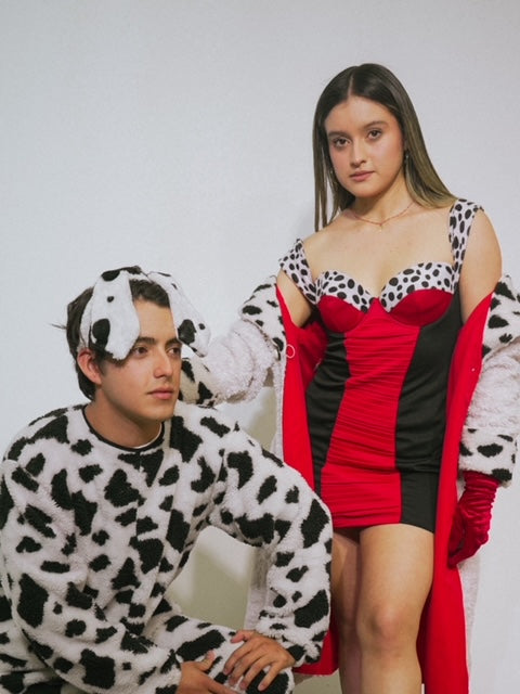 CRUELLA Y DALMATA